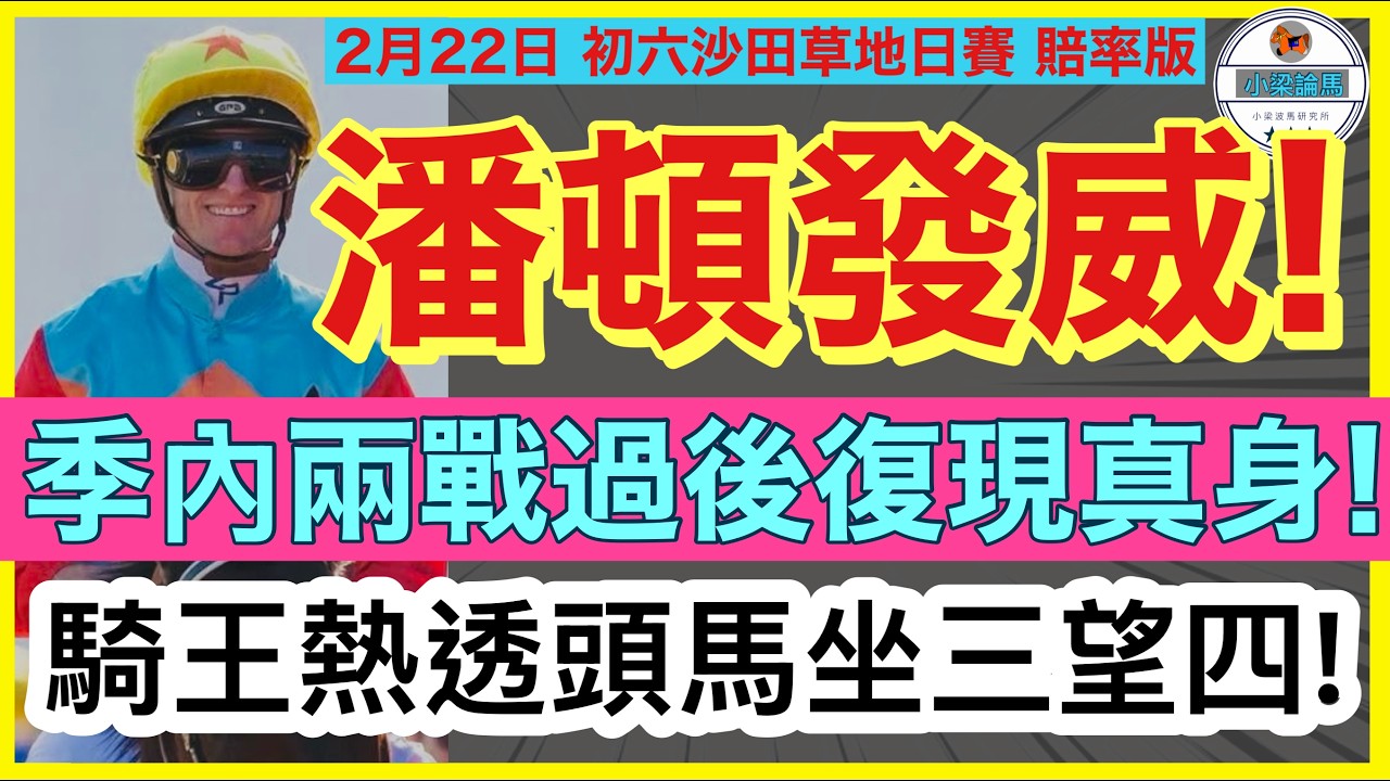 【小梁論馬】 2月22日初六沙田草地日賽~賠率版 | 潘頓發威! | 季內兩戰過後復現真身! | 騎王熱透頭馬坐三望四! | 賽馬KOL-小梁@KleagueworkshopKen 