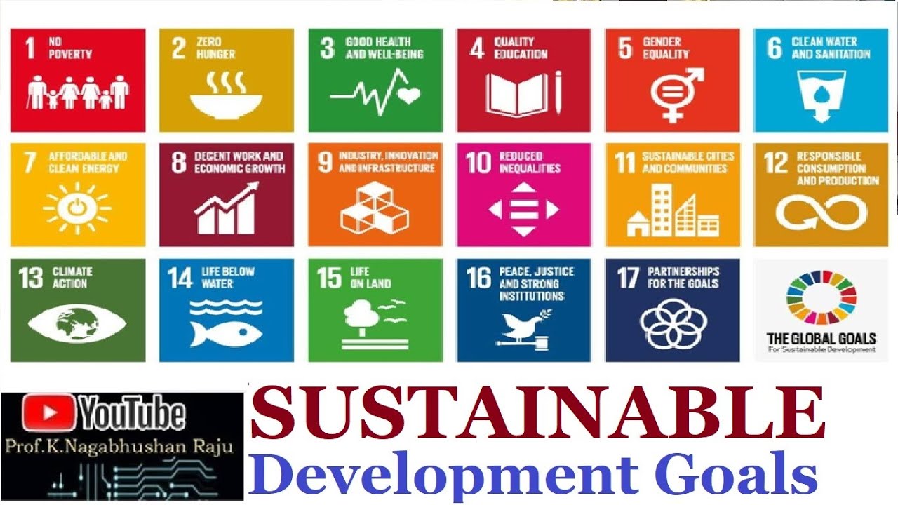 SDGs | United Nations | Sustainable Development Goals | Focus Points | Detailed Explanation