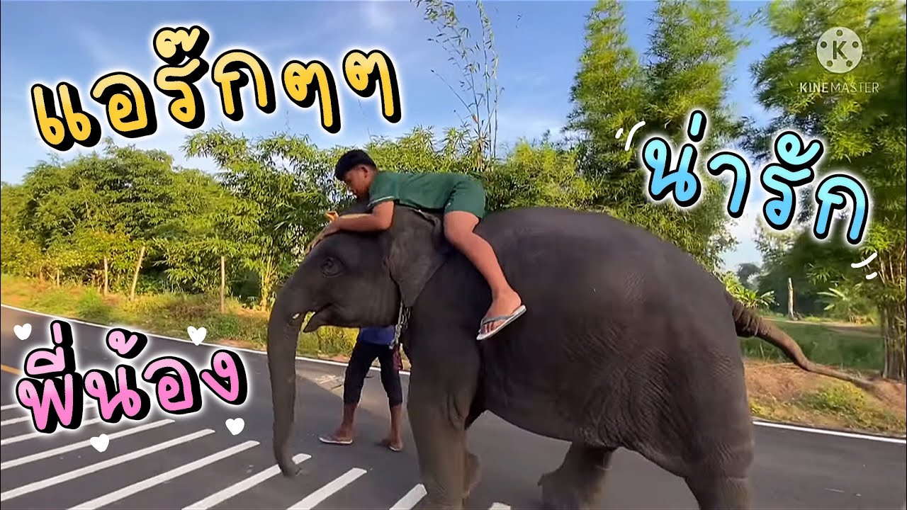 โมเมนต์ น่ารักๆ💗 พี่ป้ายขี่หลังอุ้มบุญ กลัวพี่หาย ขอจับมือตลอดทาง❗️ |พัง อุ้มบุญ