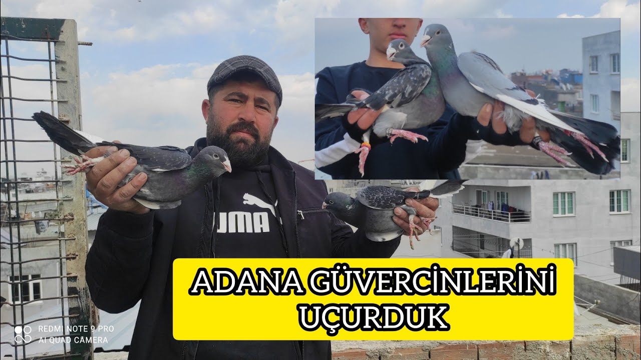 ADANA GÜVERCİNLERİNİ UÇURUYOR ÇILGIN SALO KALİTELİ Mİ KALİTESİZ Mİ ? PART-3