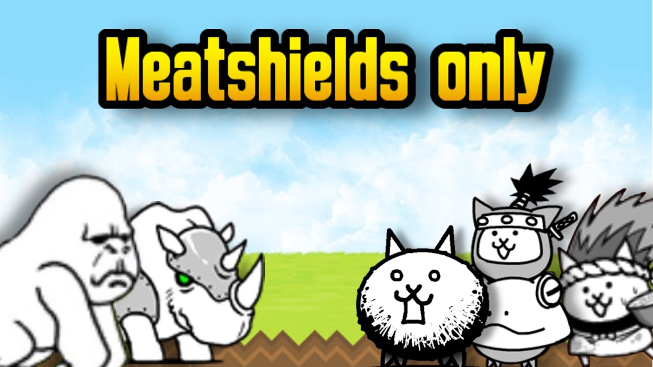 Battle cats but I can only use meatshields