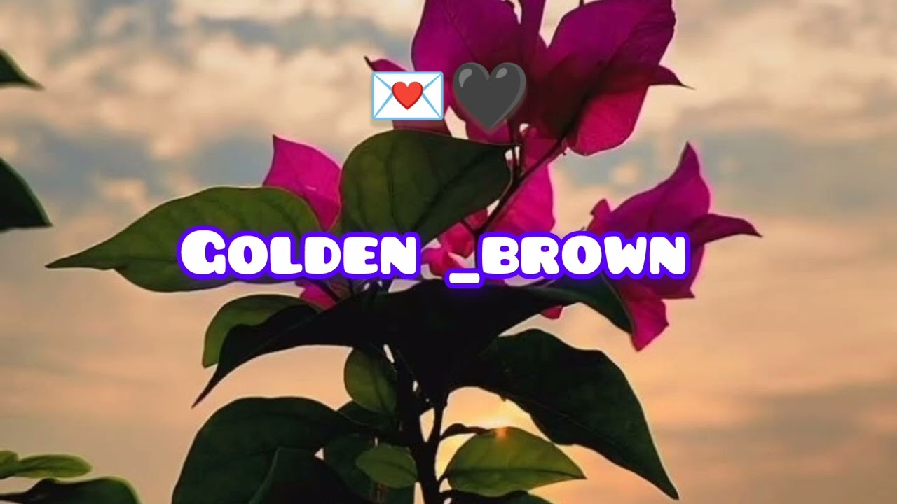 Golden_brown🙂