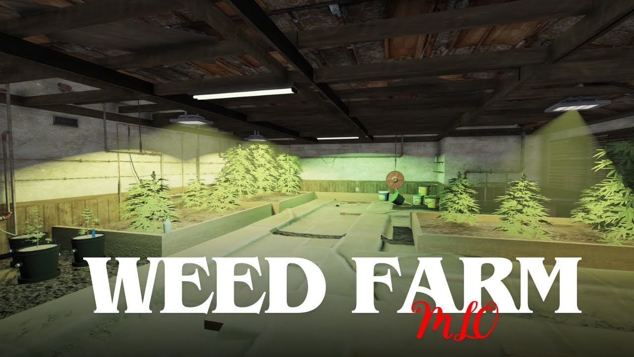 FiveM Maps - FiveM Weed Farm MLO - Secret Weed MLO | GTA 5 MLO | FiveM MLO