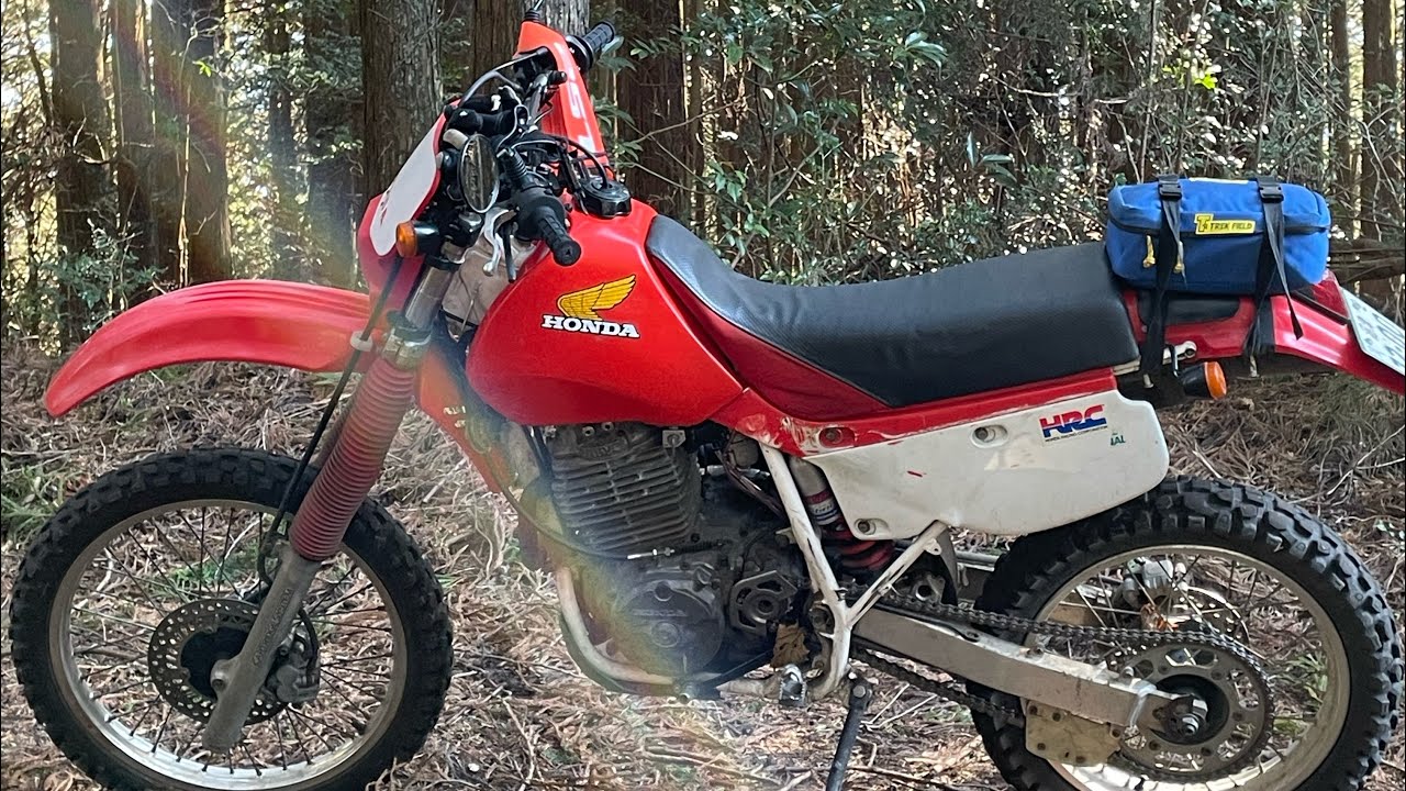 静岡県　林道坂林線　2026年1月　XR600