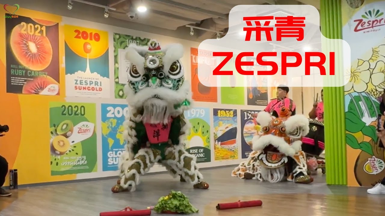 采青 Zespri | 舞狮采青 | 新洋体育会 | #Shinykoh vlog | Singapore 新加坡