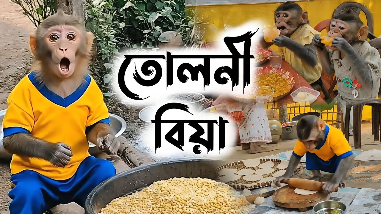 তোলনী বিয়া 🤗 | Tuloni Biya | Assamese Monkey Vlog | Bandor Bhokot