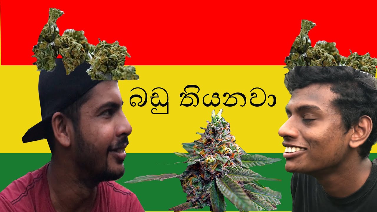 බඩු තියනවා/  badu have (දෝසි)  2020 new joke sinhala