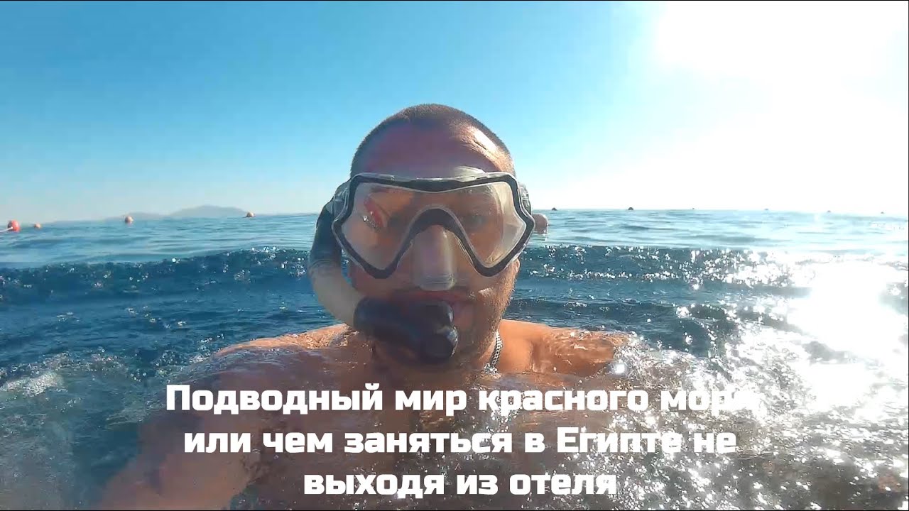 Подводный мир Риф Amphoras beach