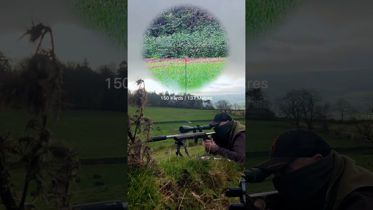 The Silent Assassin .22LR Long Range Rabbit Hunting