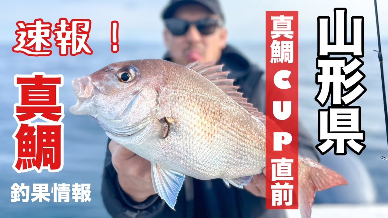 【速報】真鯛ＣＵＰ直前、タイラバ、山形県釣果情報！