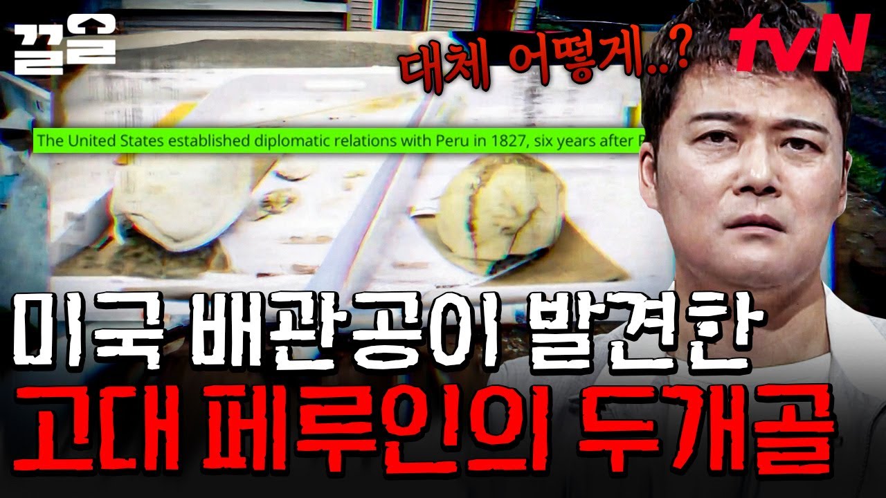 미국에서 발견된 페루인의 흔적?! 미스터리한 두개골의 비밀💀 | 프리한19