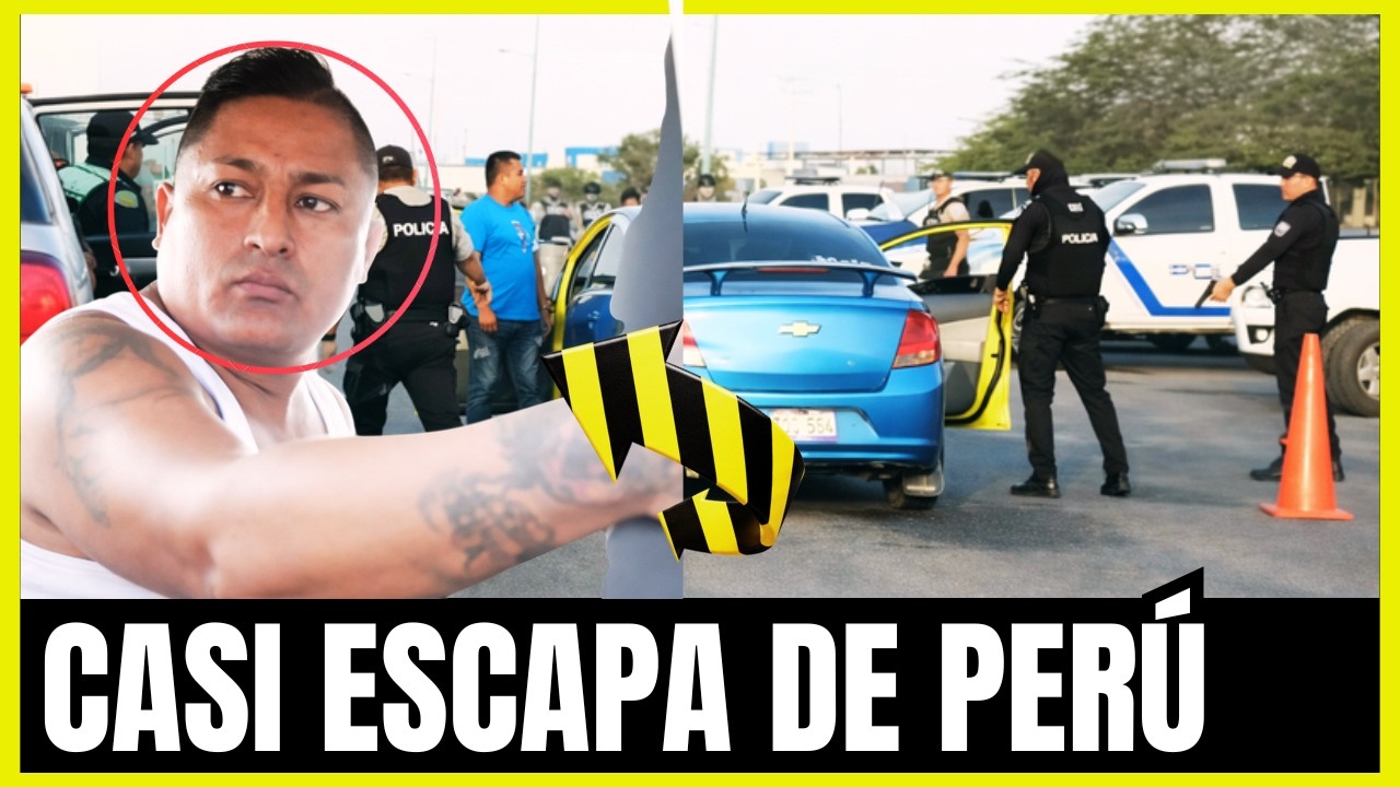 ¡MIRA CÓMO CAYÓ! EL 