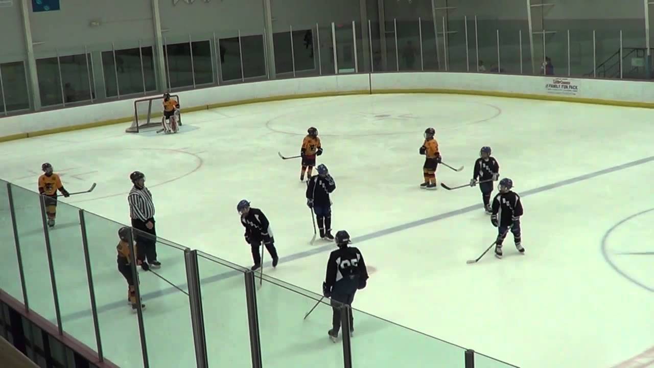 2015/2016 SFHL Squirt AA Golden Wolves vs Jr Bulls 11_14_2015 (1:5) period 1