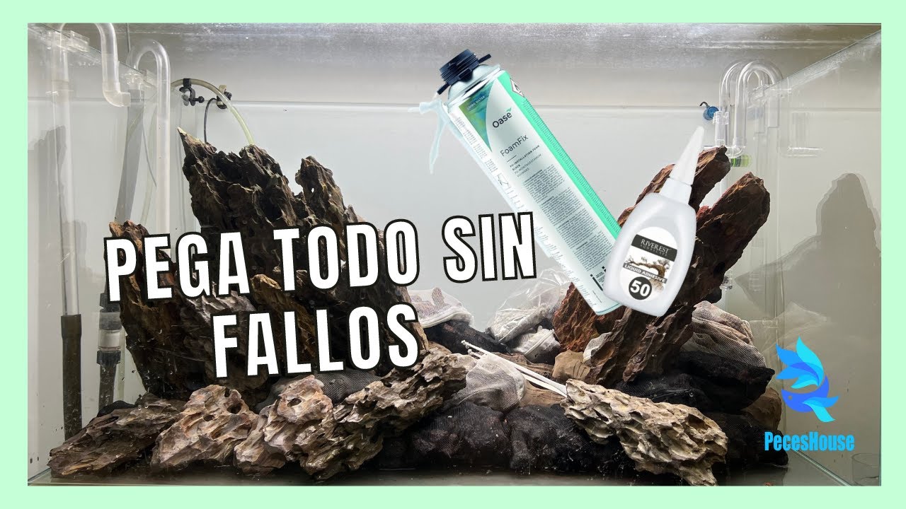 Tipos de TÉCNICAS para PEGAR HARDSCAPE del acuario