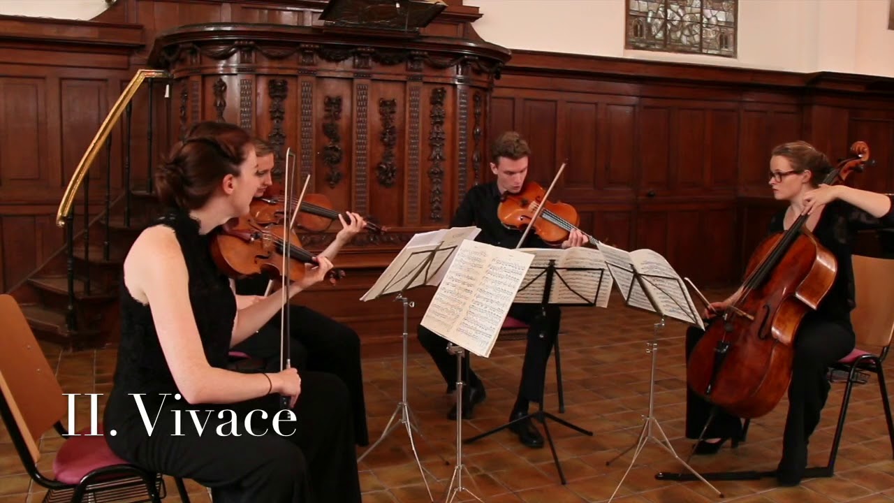 The North Sea Ensemble | Sibelius Voces Intimae | II. Vivace