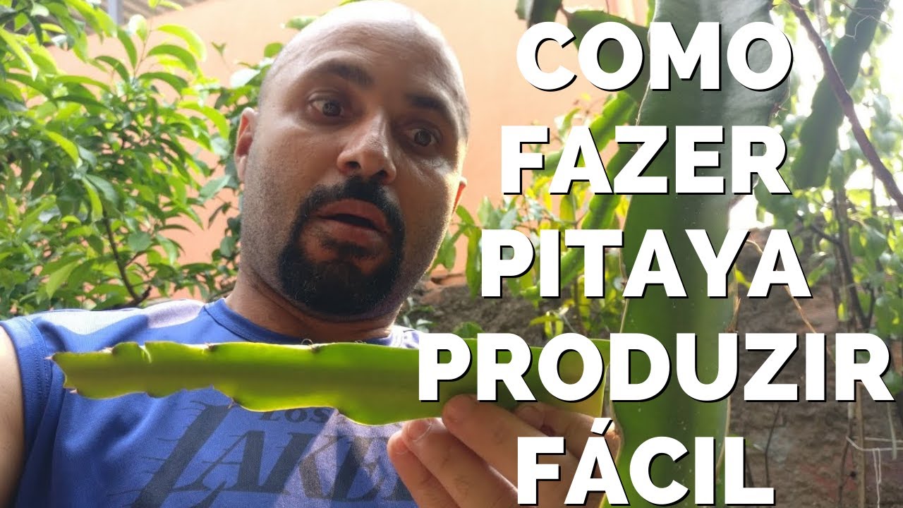 Como Fazer Poda de PRODUÇÃO da Pitaya FÁCIL E RÁPIDO!!!