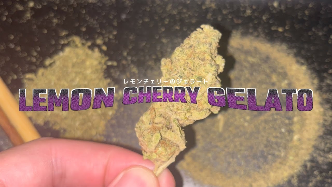 LEMON CHERRY GELATO