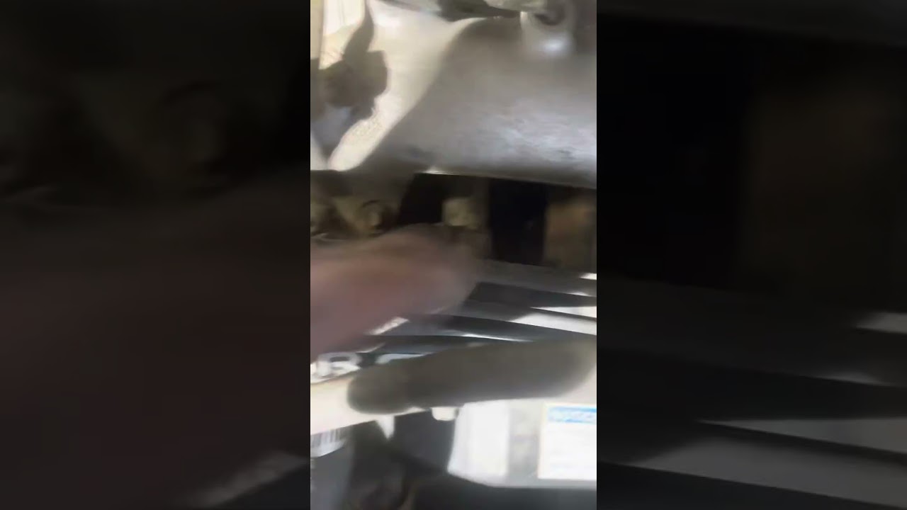 TOYOTA FUEL PRESSURE TEST (5VZFE)