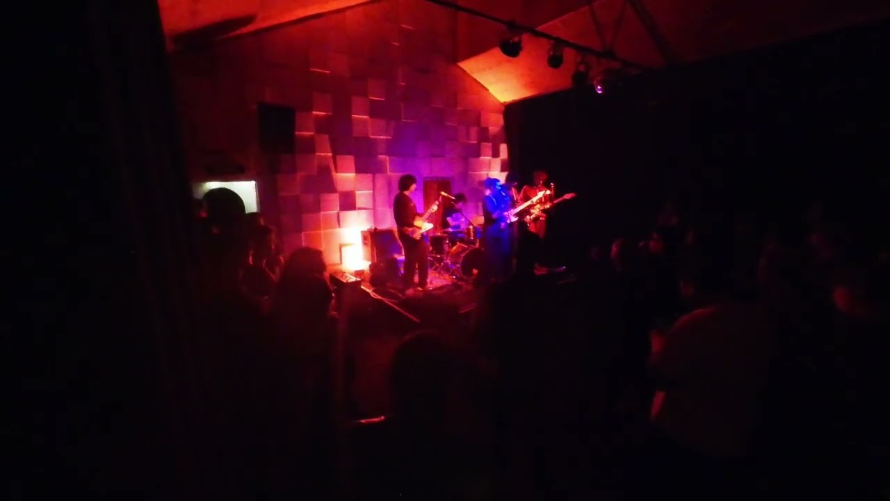 Camomile - 01 Live at Cactus Room 31.07.25