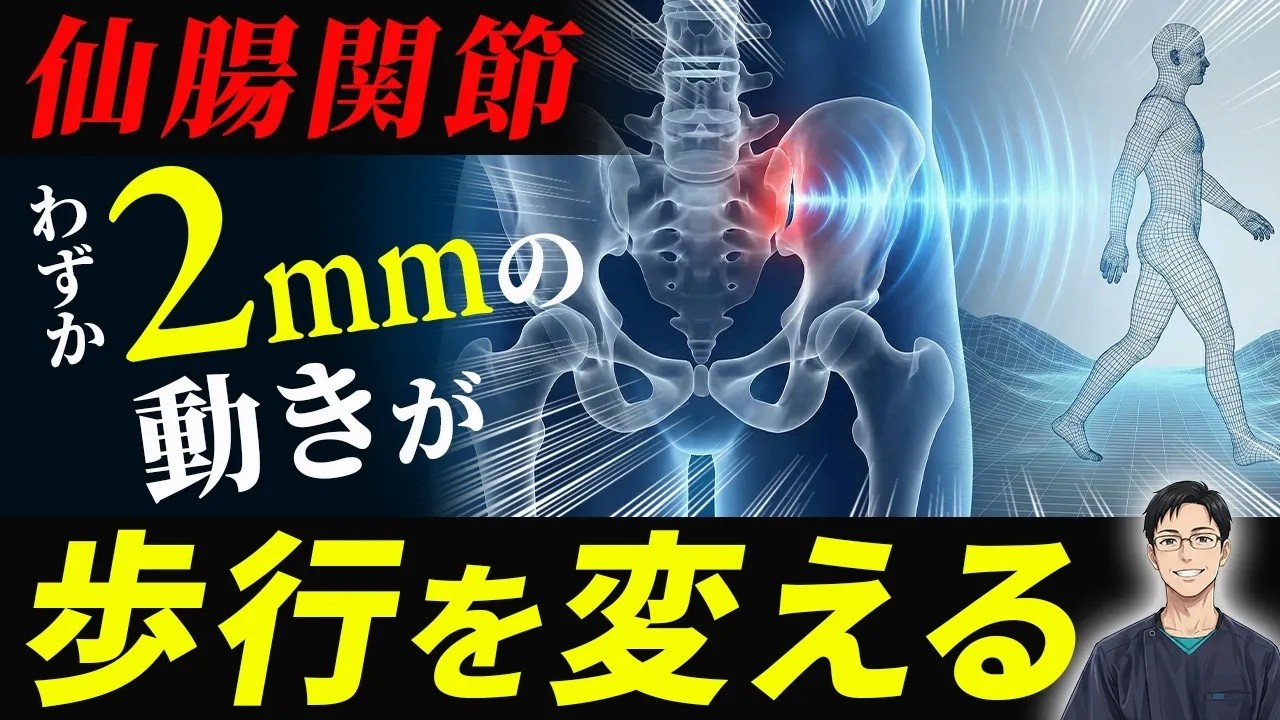 【理学療法士必見】仙腸関節の可動性とニューテーション戦略｜歩行時痛の評価と治療