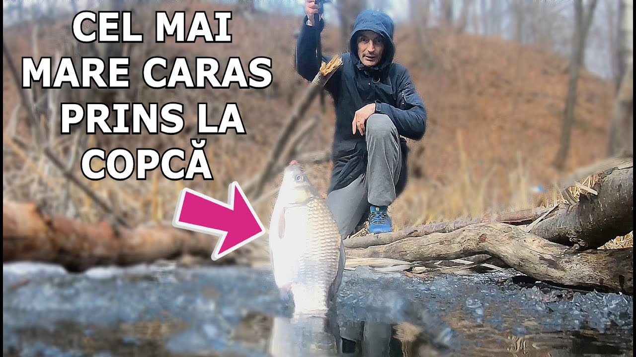 LOC NOU de Pescuit La Copca 2025 - Lacul Sălbatic cu MULȚI CARASI si Cel mai Mare Caras Prins Al Meu