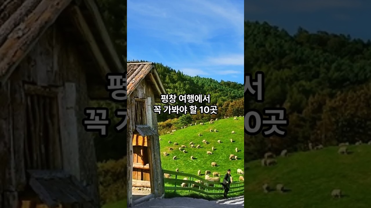 평창 관광지 10곳 #평창#여행#관광#국내관광#국내여행#여행지