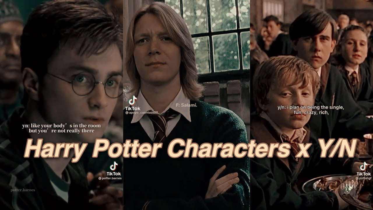 Harry Potter Characters x Y/N TikTok POV