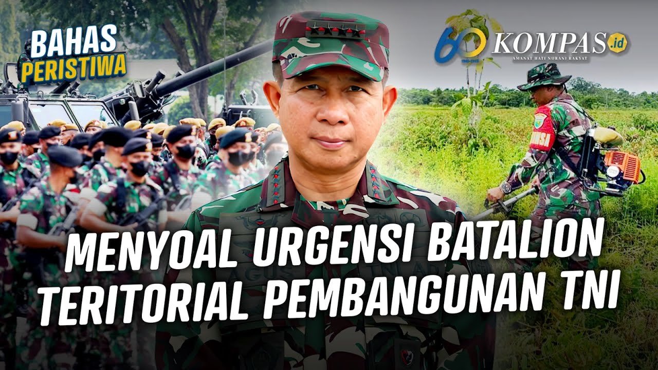 Polemik Rencana TNI Rekrut 24.000 Tamtama, Urus Pertanian hingga Peternakan