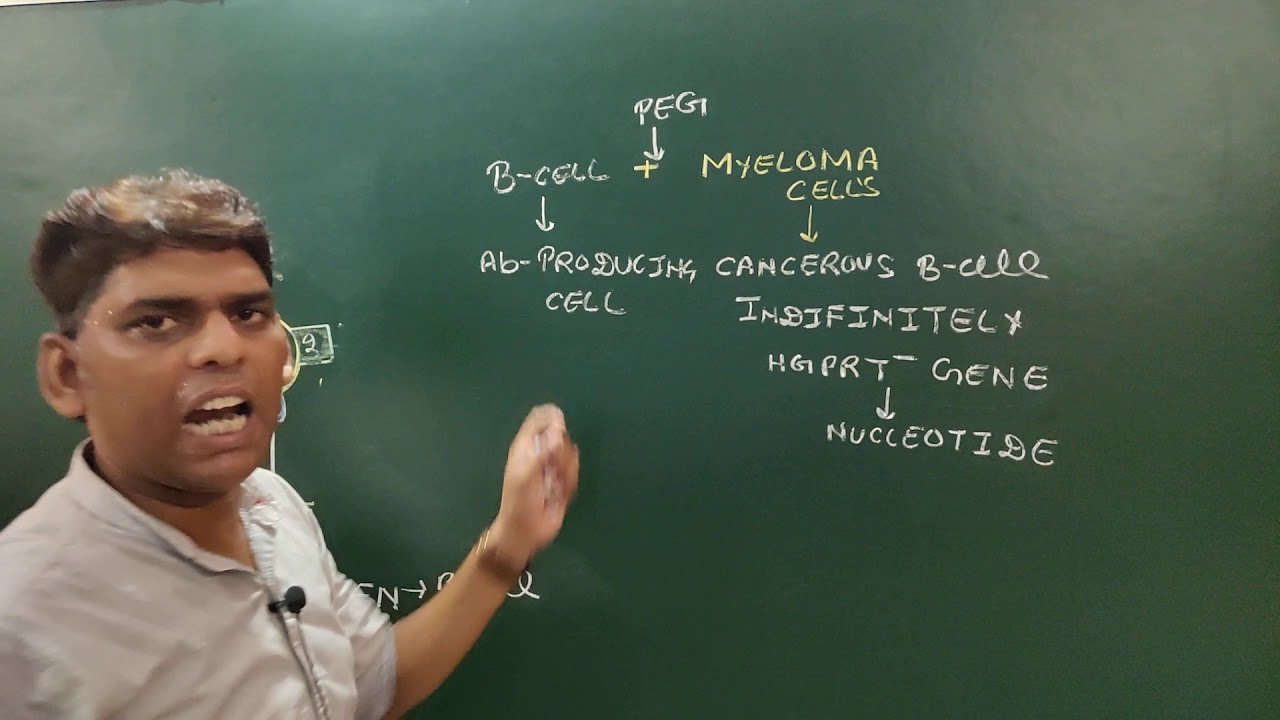 Monoclonal Antibodies