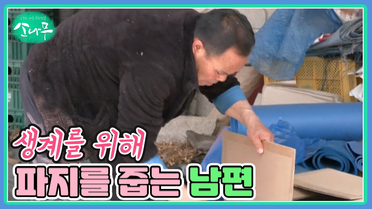 생계를 위해 파지를 줍는 남편 MBN 230506 방송