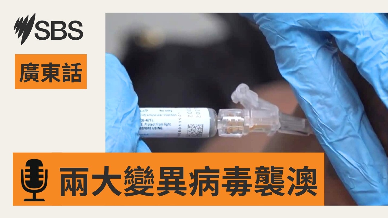 【變異流感、新型新冠秋季齊襲】澳洲人如何自保? | SBS Cantonese - SBS廣東話節目