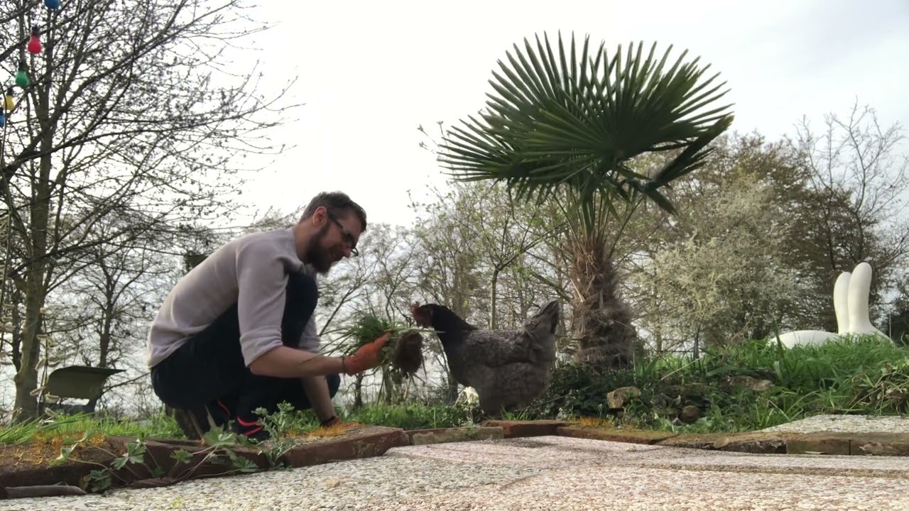 Я с Курица 😁 30/03/2023