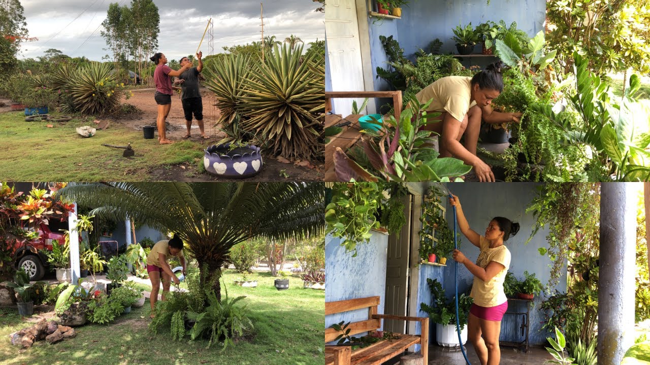 O que eu faço para minhas plantas ficarem sempre lindas/Sempre organizando meu jardim🌱🪴