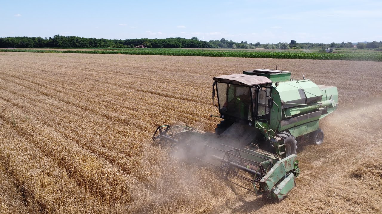 🚜🌾ŽETVA PŠENICE /ĐURO ĐAKOVIĆ M 1620 H /23🌾🚜