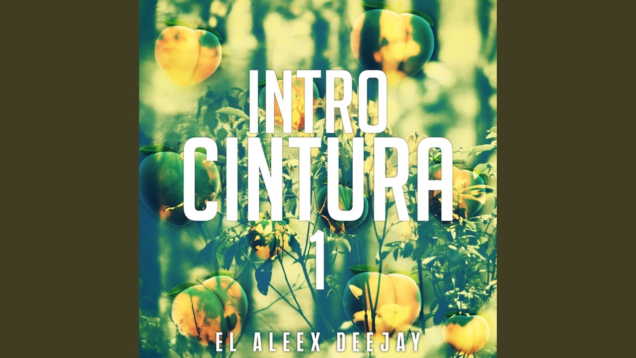 Intro Cintura