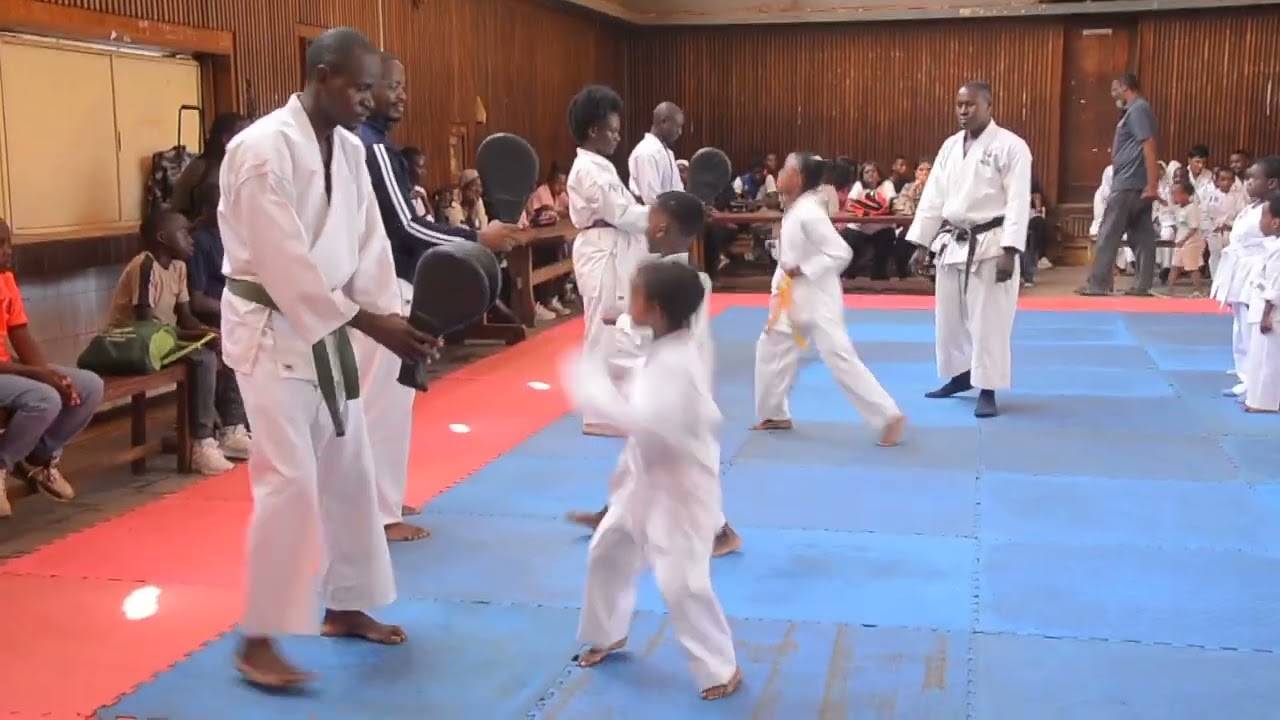 Kids karate grading and assessment