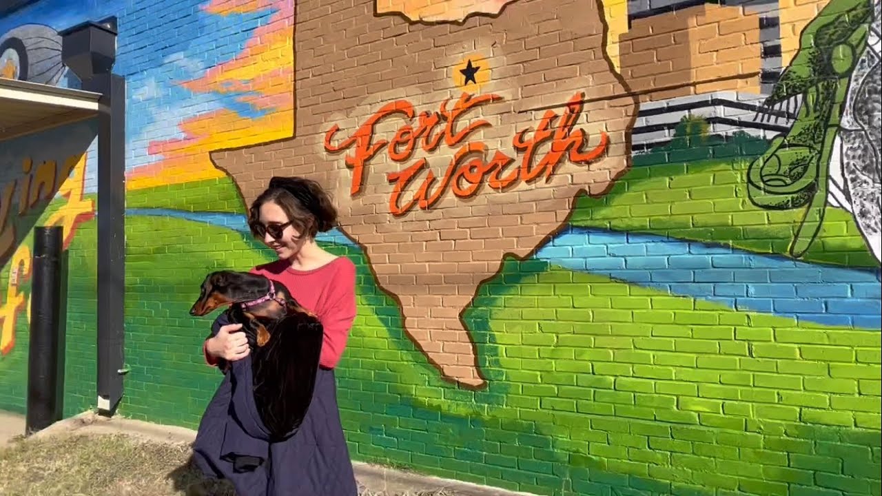Miniature dachshund explores Texas!
