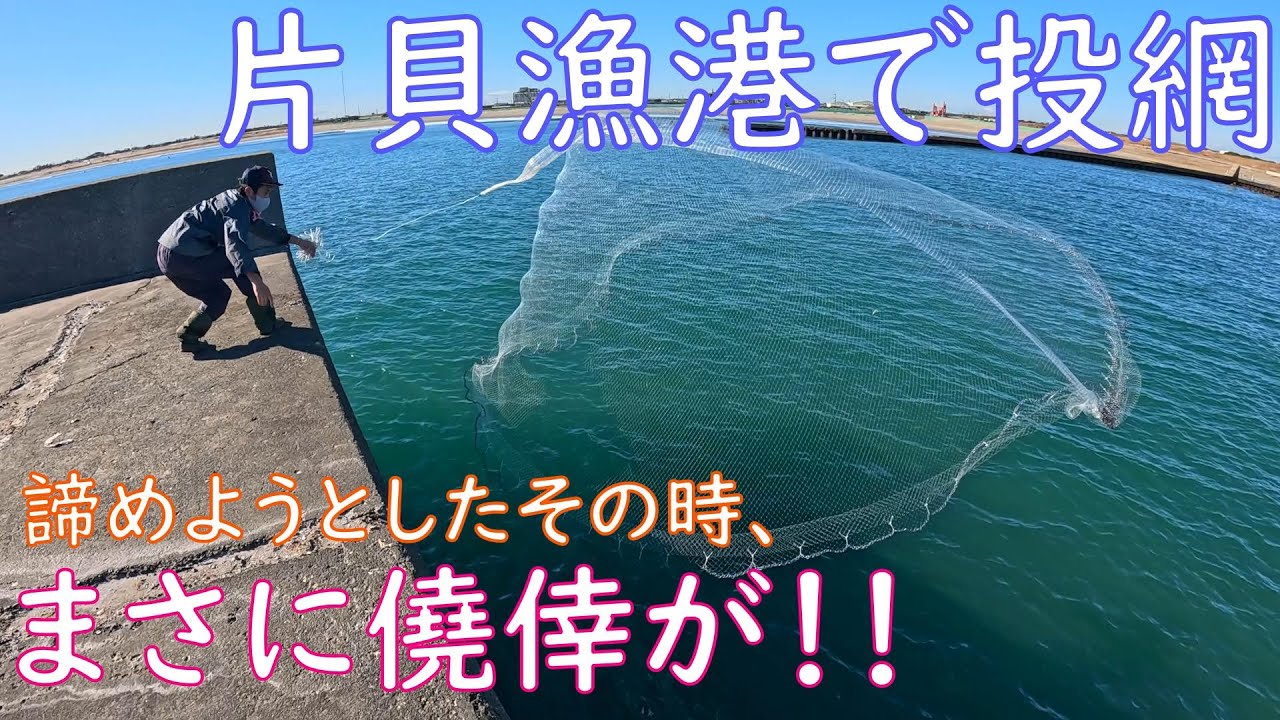 【投網】片貝漁港に友人と投網を諦めずに打ち続けたら大物が！！【冬の漁港】