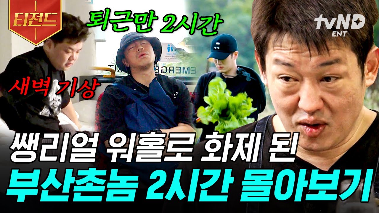 [#부산촌놈in시드니] (2시간) 마! 이게 바로 진짜 호주 워홀이다! 비자부터 일자리까지ㄷㄷ 정말로 리얼인 부산촌놈들의 워홀 도전기 전~부 보여드림💥 | #티전드