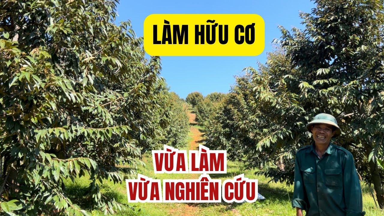 ỨNG DỤNG HỮU CƠ TRÊN VƯỜN ANH THẮNG - ĐẠ TẺH, LÂM ĐỒNG 