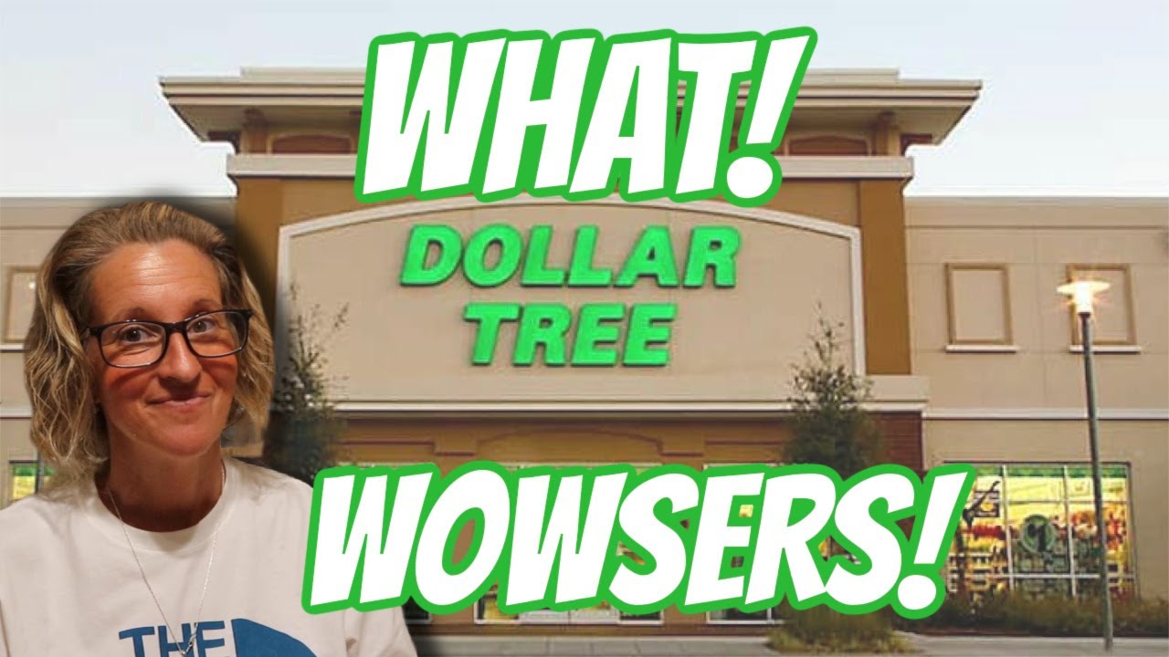 WHERE HAVE I BEEN? AMAZING NEW FINDS at DOLLAR TREE!
