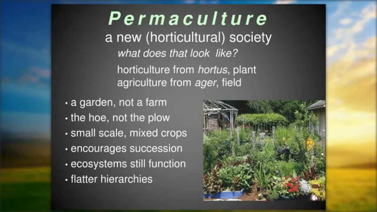 Toby Hemenway's WEBINAR for the Ecological Landscaper Immersion Program!