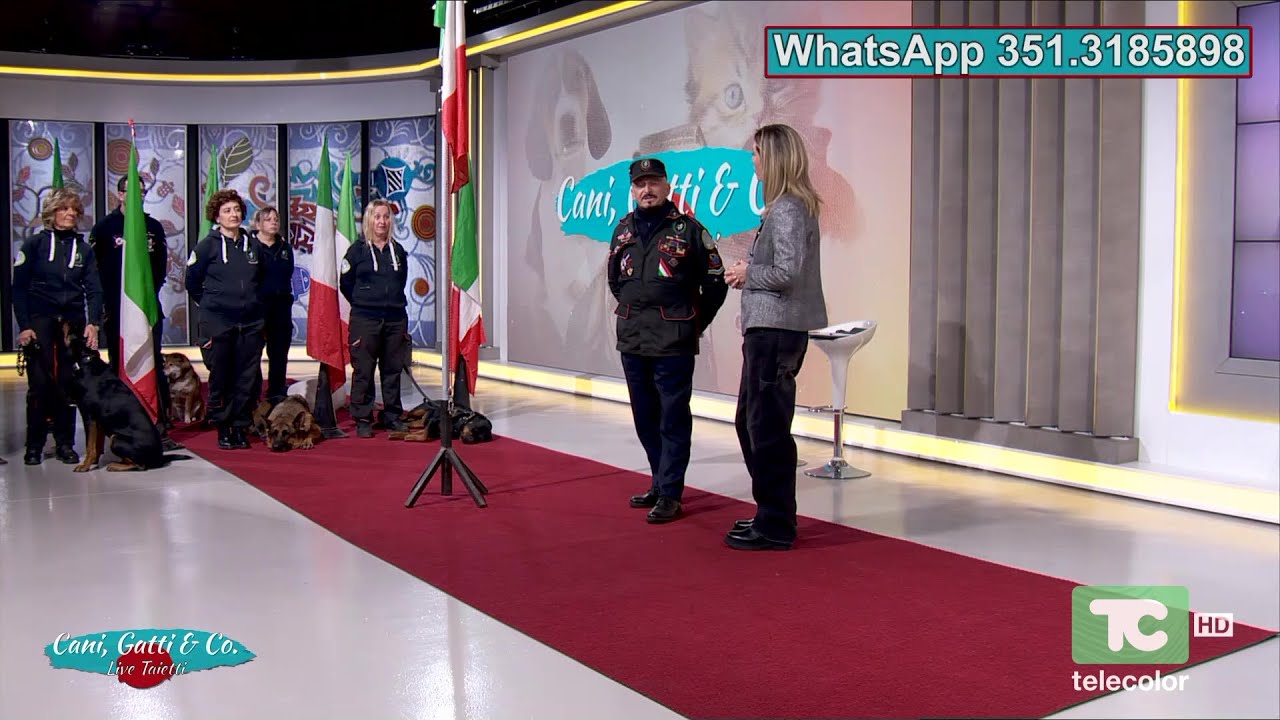 Cani e Gatti e Compagnia - live Taietti 12.01.2026