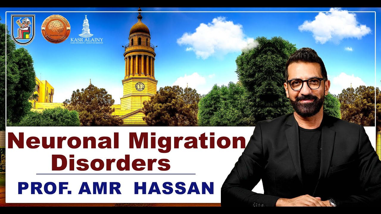 Neuronal Migration Disorders - أ.د.عمرو حسن الحسني أستاذ المخ والأعصاب