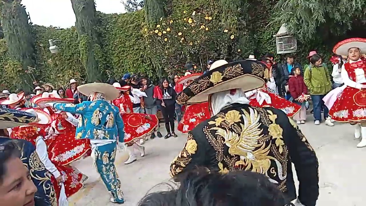 Gavilanes de la cabecera municipal Chimalhuacan 2026