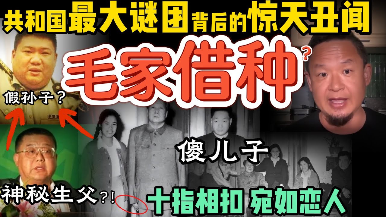 中南海暗影：毛家绯闻风暴与毛新宇身世谜案｜彭德怀为何被刘少奇建议枪毙？历史真相全解析   #政治 #历史  #毛泽东 #中共 #毛新宇