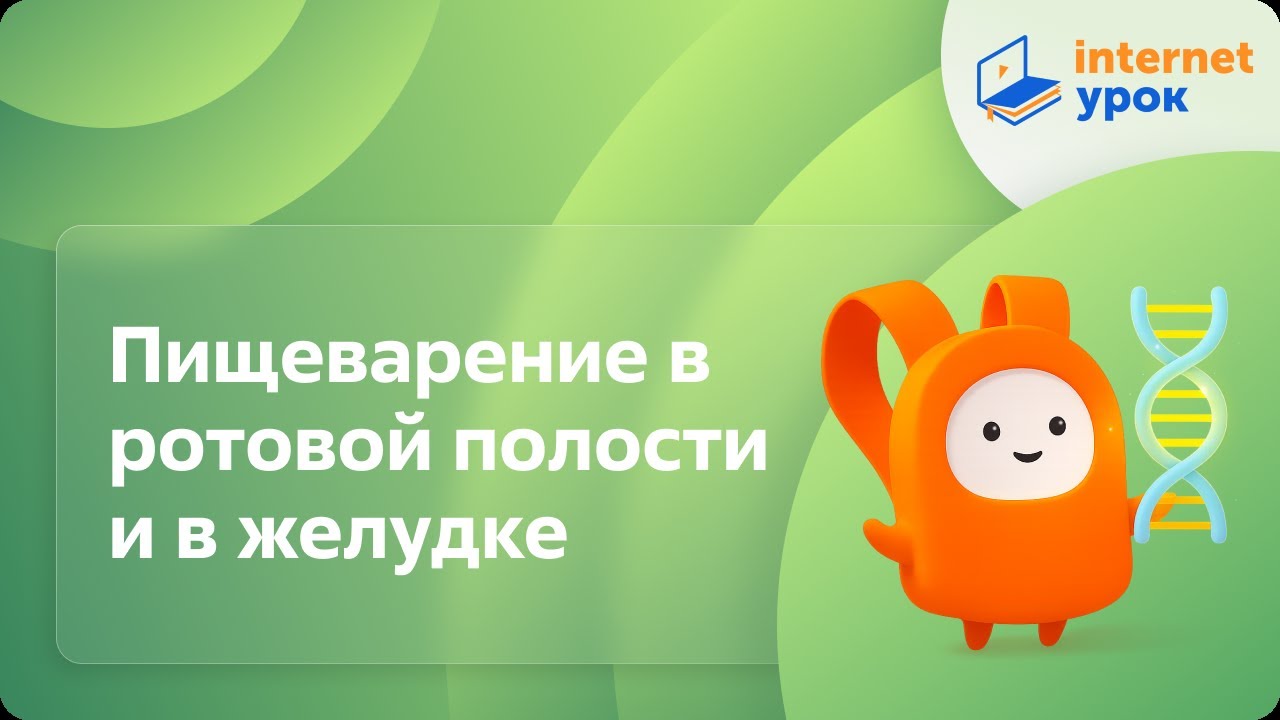 Биология 8 класс. Пищеварение в ротовой полости и в желудке