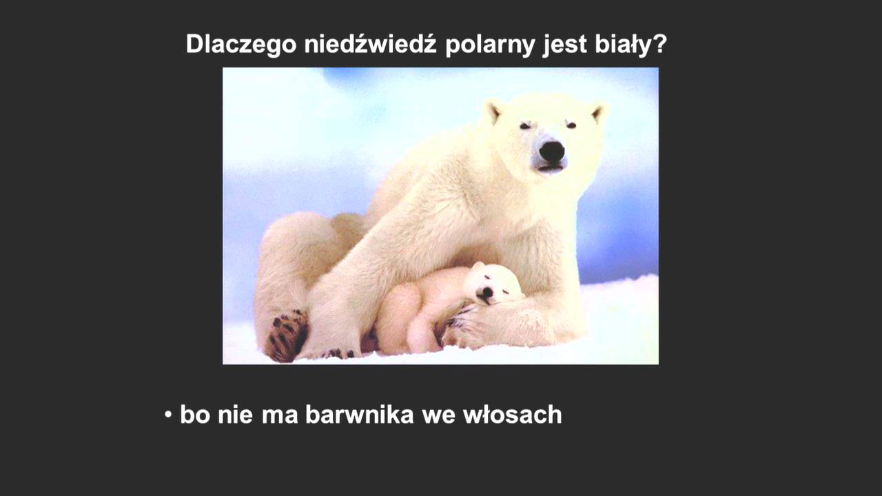 XLII Sympozjum GAP - Wykład Mistrzowski: Jerzy  Vetulani