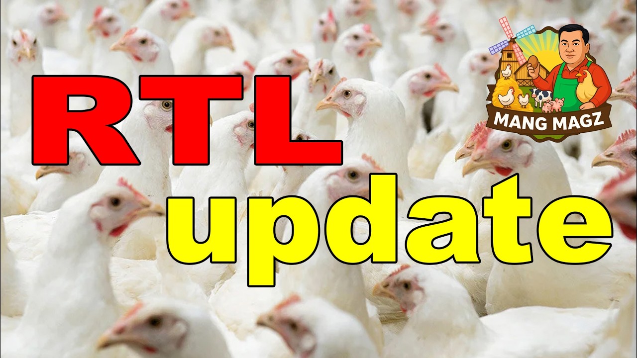 RTL UPDATE