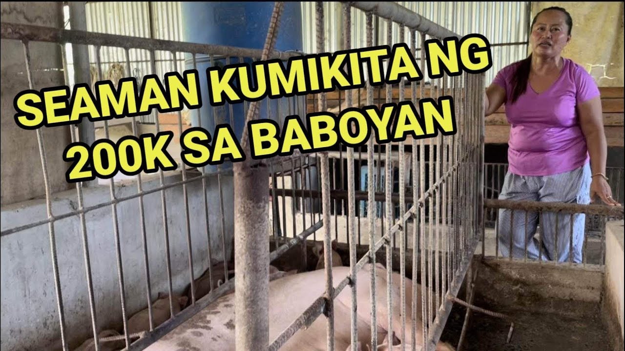 200K KITA NG ISANG SEAMAN SA BABOYAN AT AGRIVET BUSINESS @piggeryfarming